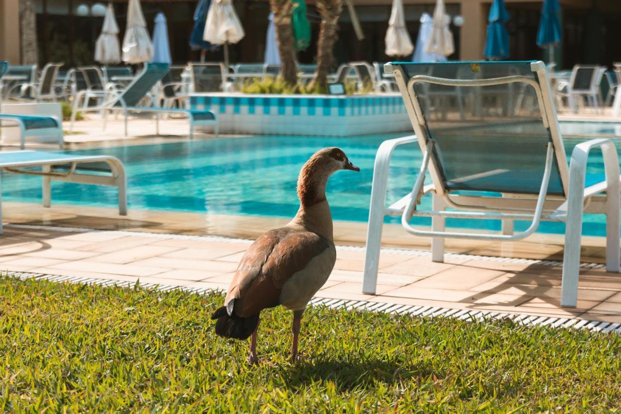 Villa Itaipava Resort & Conventions ภายนอก รูปภาพ